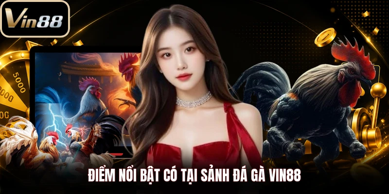 Điểm nổi bật có tại sảnh đá gà Vin88