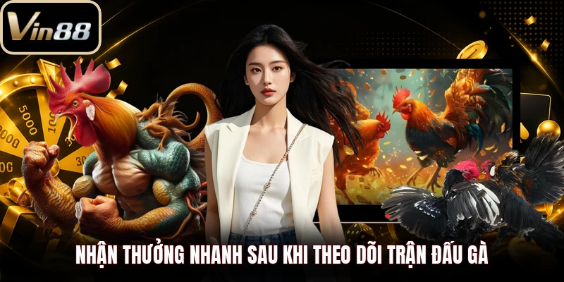 Nhận thưởng nhanh sau khi theo dõi trận đấu gà